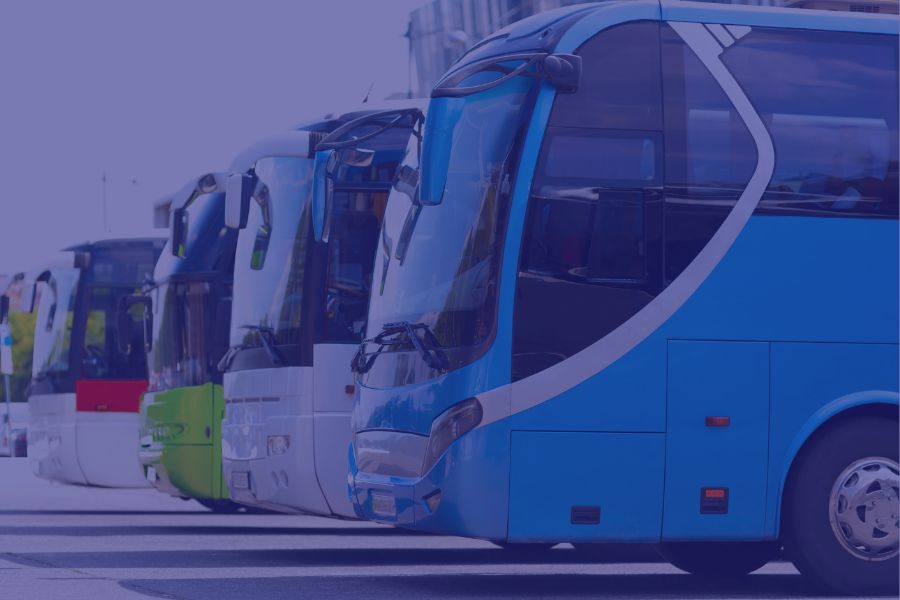 اللائحة المنظمة لنشاط النقل الدولي للركاب بالحافلات